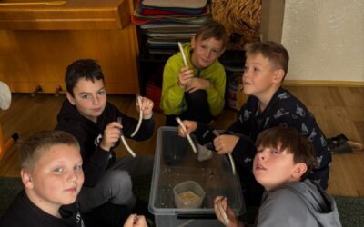 Včely – Chlumeček, 5. 11. 2025, 4. ročník