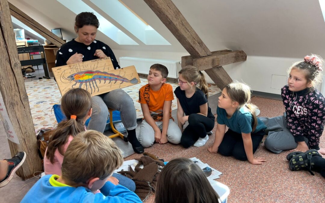 Raci – Chlumeček, 5. 11. 2025, 3. ročník