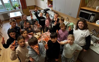 Úroda mrkve, 5. 11. 2025, 4. ročník ZŠ Nedabyle