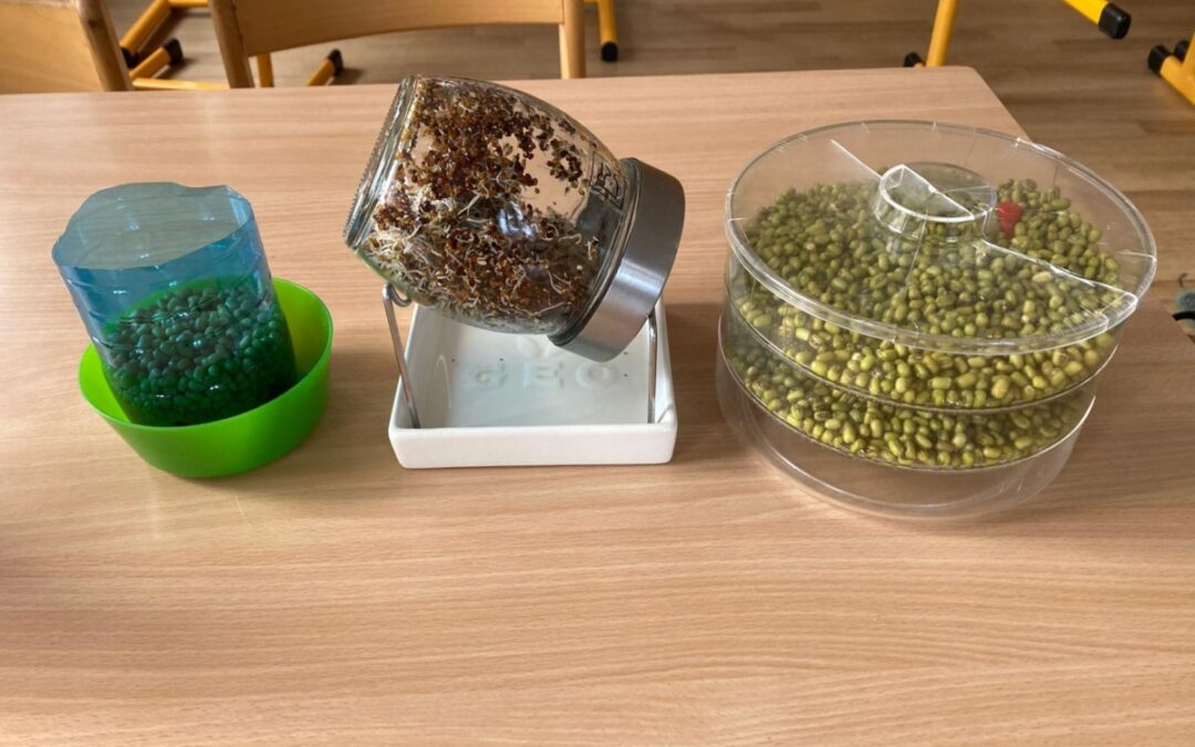 Klíčení, ŠD II. oddělení, únor 2026