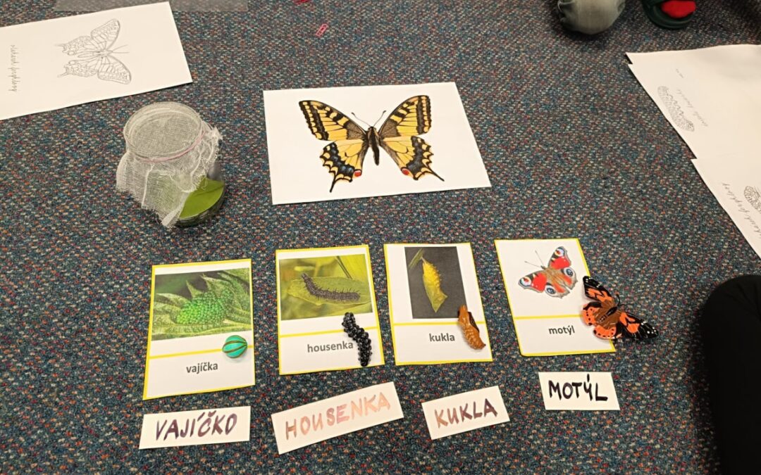 Vývoj hmyzu – zážitková pedagogika, 13. 4. 2026, 1. ročník ZŠ